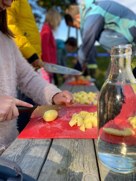 kutte-potet elev kutter potet på Steinerskolen Eidsvoll